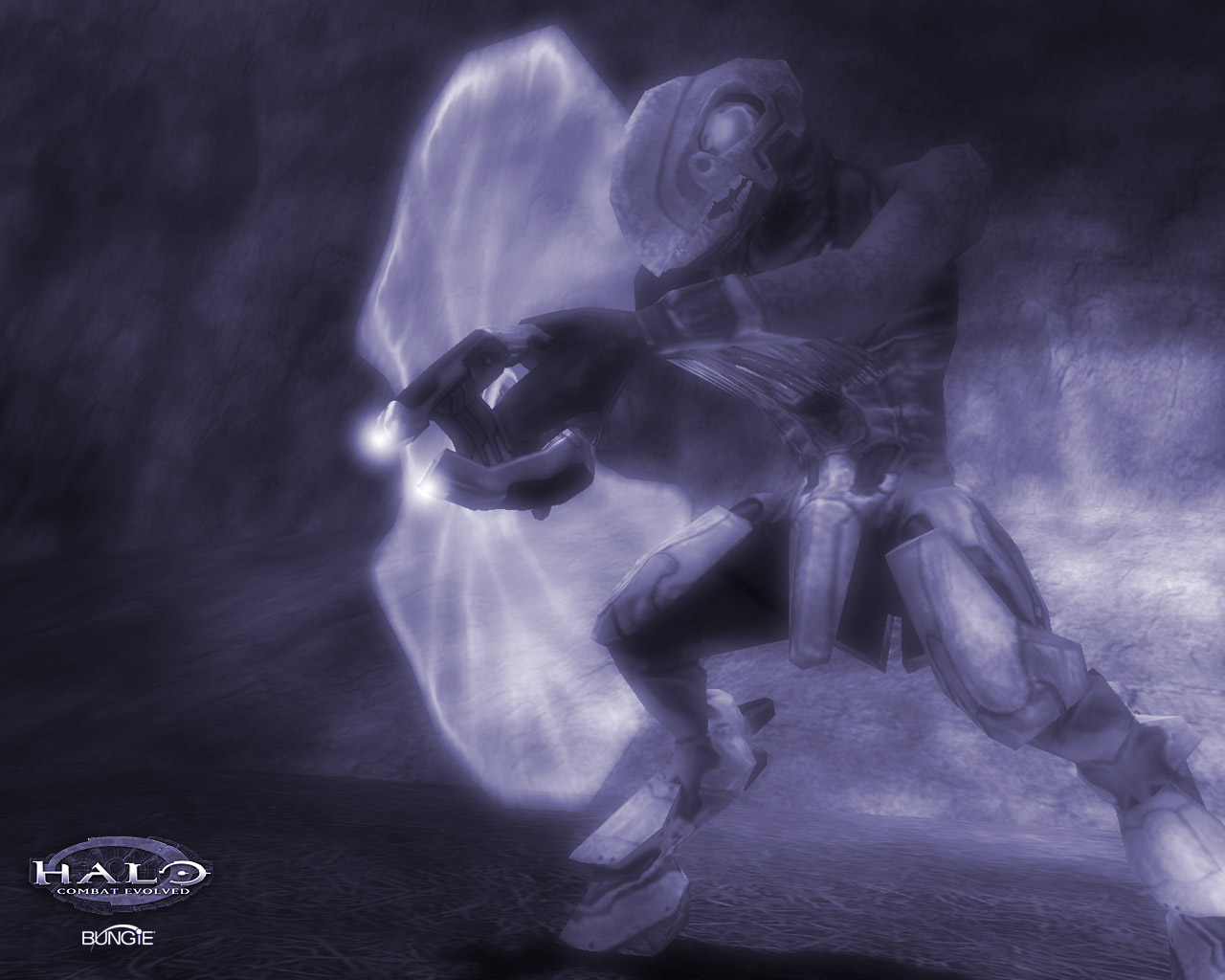 jackal_blackandwhite.jpg